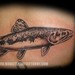 tattoo galleries/ - trout